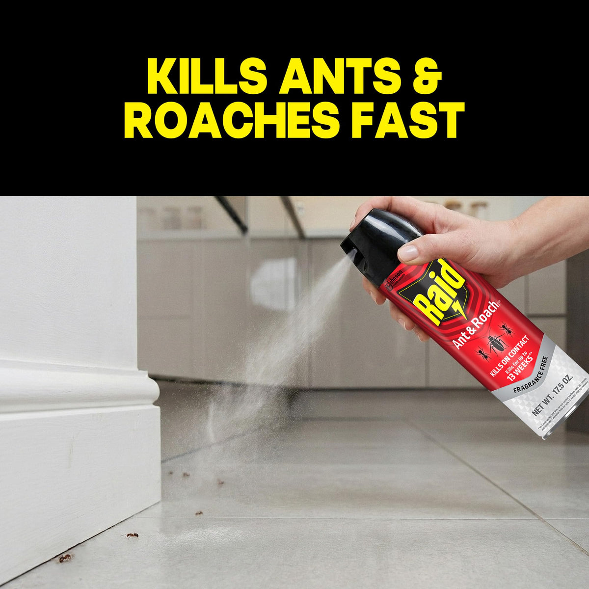 Raid Ant & Roach Killer Bug Spray, Fragrance Free, 17.5 oz, 2 Count | Kills Ants & Roaches on Contact, Keeps Killing For Up to 13 Weeks, For Home Use, No Lingering Chemical Odor