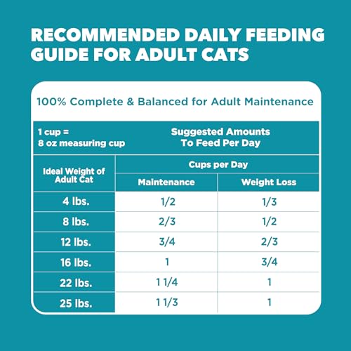 IAMS Proactive Health Indoor Dry Cat Food, Chicken & Turkey, 7 lb | Vet-recommended, Real Chicken #1 Ingredient, Proprietary Fiber Blend, Prebiotics for Healthy Digestion, Hairball Control