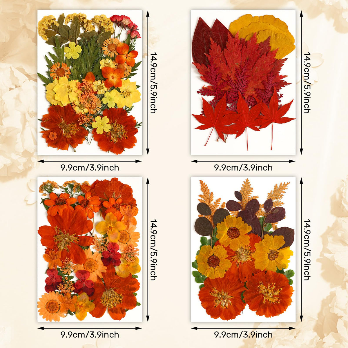 Augshy Fall Dried Pressed Flowers and Leaves for Autumn Crafts Resin DIY | Real Pressed Flowers, Ideal for Scrapbooking Candle Making,Autumn Foliage Colors,100 Pcs Craft Set
