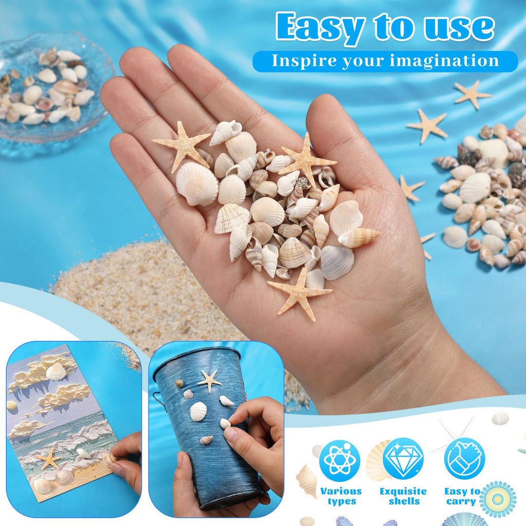 1200 Pcs Tiny Sea Shells, Seashells for Crafts with Small Shells Starfish | Mixed Ocean Beach Spiral Seashells for Beach Party, Fish Tank and Vase Filler, Wedding Decor, DIY Jewelry Candle Making