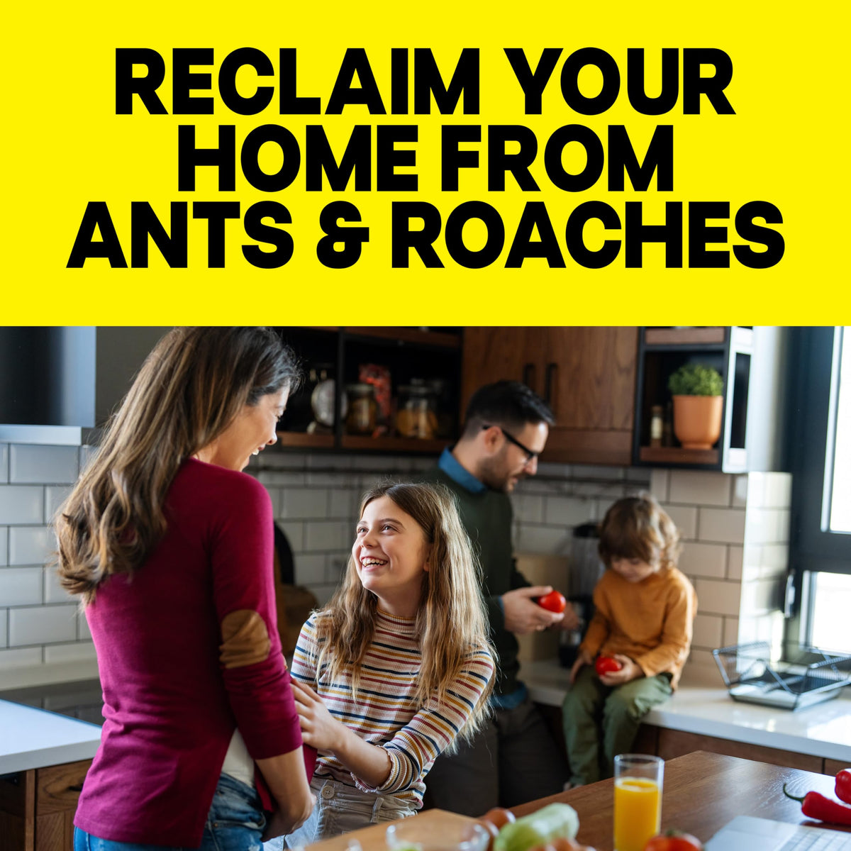 Raid Ant & Roach Killer Bug Spray, Fragrance Free, 17.5 oz, 2 Count | Kills Ants & Roaches on Contact, Keeps Killing For Up to 13 Weeks, For Home Use, No Lingering Chemical Odor
