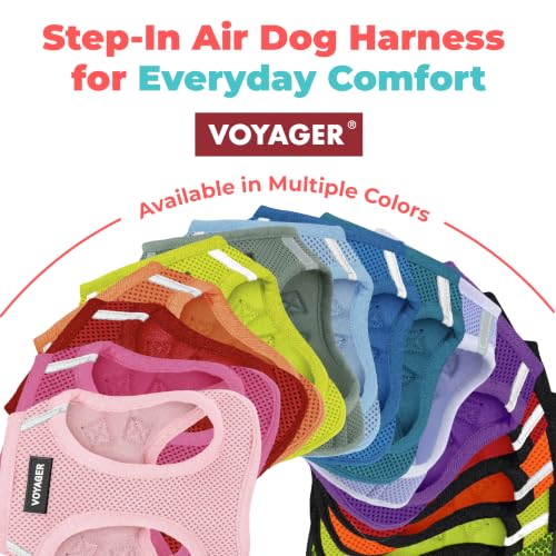 Voyager Step-in Air Dog Vest Harness - Moss Green, Small | 14.5-16" in Chest, Reflective Bands, All Weather Breathable Air Mesh, Cats Compatible, Lightweight, Fast Drying