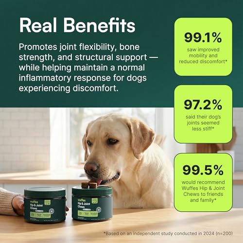 Wuffes Advanced Hip & Joint Chews for Small & Medium Breed Dogs, Vet Recommended, Glucosamine, Chondroitin, MSM, Green-Lipped Mussel & Hyaluronic Acid Supplement, Supports Mobility, 60 Pork Chews