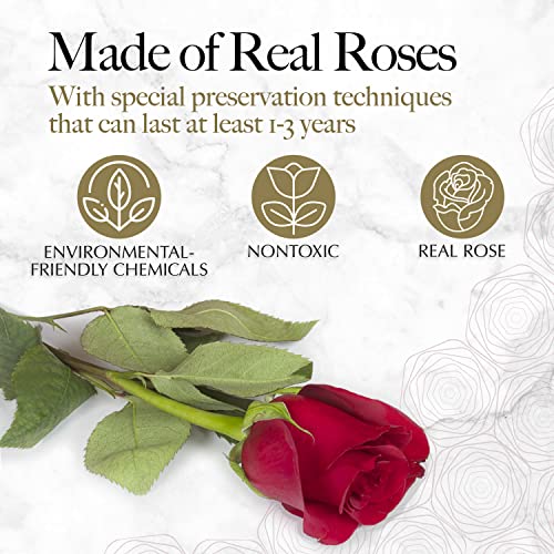 GLAMOUR BOUTIQUE Preserved Flowers, 16 Forever Red Roses in Heart Gift Box | Unique floral present for women, anniversary gifts for her, mom or wife, cute birthday idea, will you be my girlfriend box