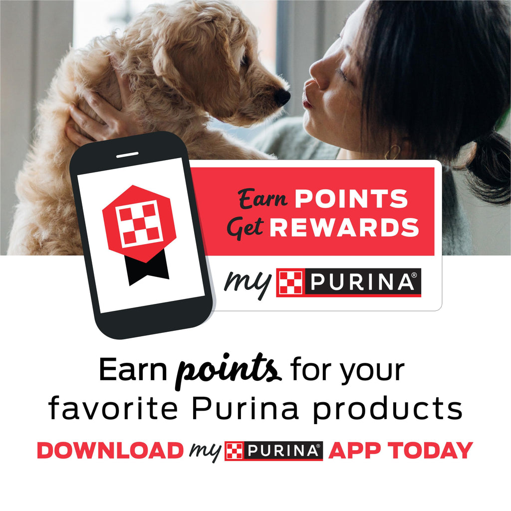 Dentalife Purina Daily Dental Chews for Large Dogs, 18 ct Pouch | Chewy, ridged texture in a tasty chicken flavor, helps reduce tartar buildup and help freshen breath