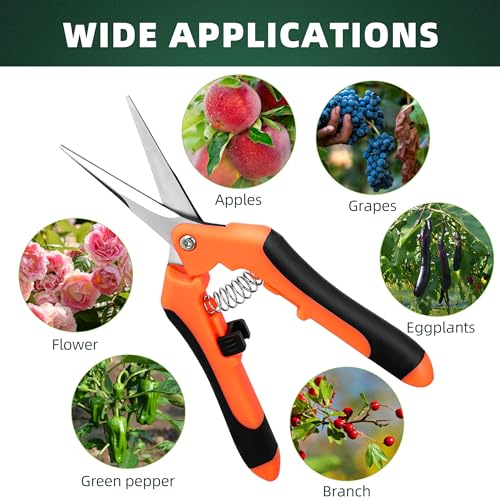 EWPJDK 3 Pack Garden Pruning Shears Scissors Clippers Stainless Steel | Gardening Shears, Gardening Shears, Pruning Snips for Gardening Tools, Securely Lock, Non-Slip, Ergonomically Designed