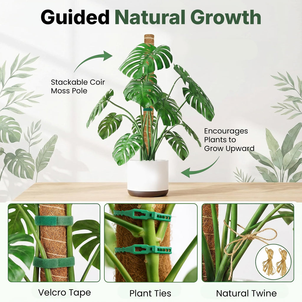 4 Pack 16" Moss Pole Monstera Plant Support - Stackable up to 48" | Plant Stakes for Indoor Climbing Plants Potted - Tall Coco Coir Pole Sticks & Accessories for Monstera, Pothos & Philodendron