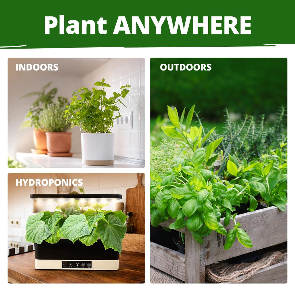HOME GROWN 15 Herb Seed Variety Kit, 4300+ Seeds, Culinary Herb Kit | High Germination, Heirloom, Non-GMO | 4300+ Seeds | Indoor/Outdoor & Hydroponic | Culinary Herbs | Gardening Gift