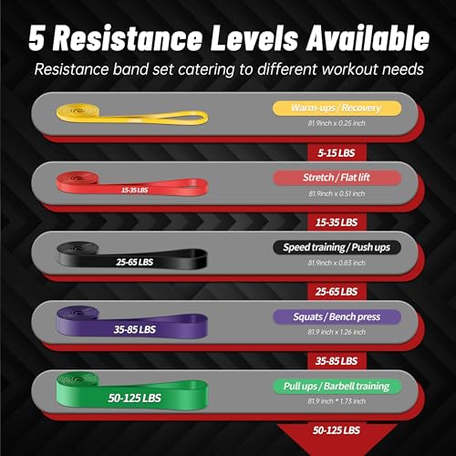 5-Level Resistance Bands for Working Out, Pull Up Assistance Bands | 5-125 LBS Resistance, Fitness, Full-Body Training, Physical Therapy & Stretch Workout, for Men, Women, Home, Outdoor, Gym Use