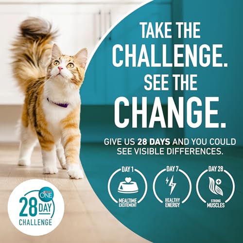 Purina ONE Tender Selects Dry Cat Food, Salmon, 7 lb Bag | Real salmon is the #1 ingredient made with carrots, peas, vitamins A and E for bright eyes, strong muscles and digestion