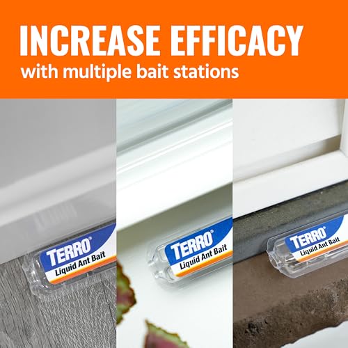 TERRO Liquid Ant Killer Bait Stations, 12-Pack, Indoor Ant Traps, T300B | Borax Formula, Kills the Queen & the Entire Colony, Liquid Ant Baits Indoor, Kills Household Ants, Indoor Use