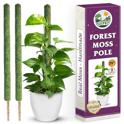 DUSPRO 2 Pack 25" Mesh Moss Pole for Climbing Plants, Pre-Made Moss Pole | Easy To Set Up & Natural Moss Pole Monstera Plant Support, Real Moss Poles for Plants Indoor, Moss Stakes for House Plants