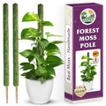 DUSPRO 2 Pack 25" Mesh Moss Pole for Climbing Plants, Pre-Made Moss Pole | Easy To Set Up & Natural Moss Pole Monstera Plant Support, Real Moss Poles for Plants Indoor, Moss Stakes for House Plants