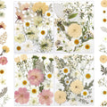 LUXEEASE 80P White Pink Dried Pressed Flowers | Ivory white palette, fits any project, blush butter hints, for wedding resin jewelry scrapbook frame decor, tweezers included