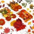 Augshy Fall Dried Pressed Flowers and Leaves for Autumn Crafts Resin DIY | Real Pressed Flowers, Ideal for Scrapbooking Candle Making,Autumn Foliage Colors,100 Pcs Craft Set