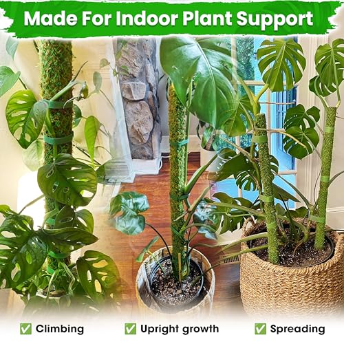 DUSPRO 2 Pack 25" Mesh Moss Pole for Climbing Plants, Pre-Made Moss Pole | Easy To Set Up & Natural Moss Pole Monstera Plant Support, Real Moss Poles for Plants Indoor, Moss Stakes for House Plants