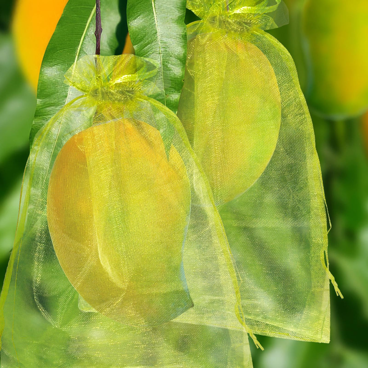 50 Pcs Fruit Protection Bags, 6×9 in Mesh Cover Nets for Tree, Green | Drawstring Netting, Protect Fruits, Dense Fine Mesh, for Vegetables Strawberry Tomato Garden, Reusable and Soft