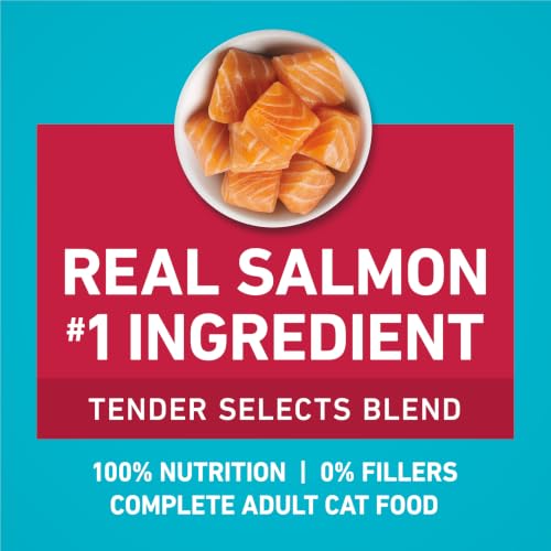 Purina ONE Tender Selects Dry Cat Food, Salmon, 7 lb Bag | Real salmon is the #1 ingredient made with carrots, peas, vitamins A and E for bright eyes, strong muscles and digestion