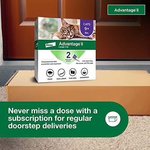 Advantage II Large Cat Topical Flea Treatment & Prevention, 2ct