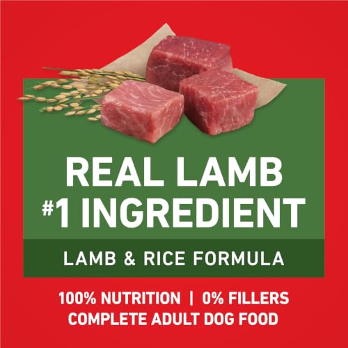 Purina ONE Lamb and Rice Formula Dry Dog Food for Digestive Support | Dog food with real lamb as first ingredient, Microbiome Balanced and prebiotic fiber, supports digestive health