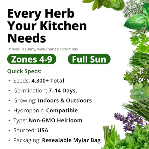 HOME GROWN 15 Herb Seed Variety Kit, 4300+ Seeds, Culinary Herb Kit | High Germination, Heirloom, Non-GMO | 4300+ Seeds | Indoor/Outdoor & Hydroponic | Culinary Herbs | Gardening Gift