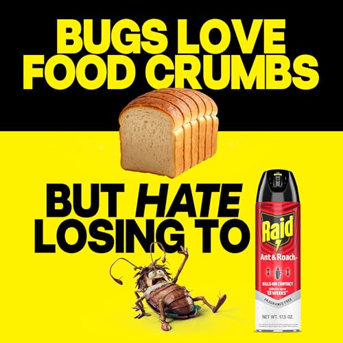 Raid Ant & Roach Killer Bug Spray, Fragrance Free, 17.5 oz, 2 Count | Kills Ants & Roaches on Contact, Keeps Killing For Up to 13 Weeks, For Home Use, No Lingering Chemical Odor