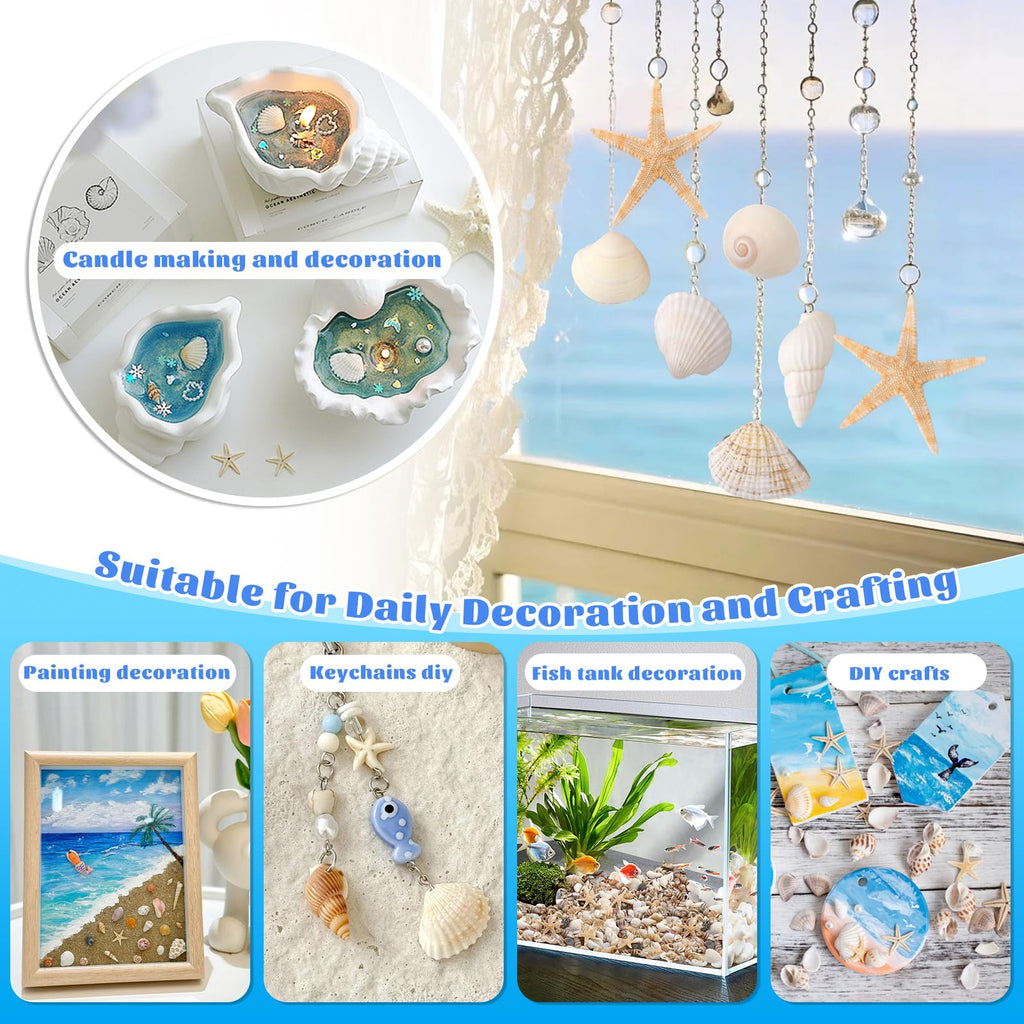 1200 Pcs Tiny Sea Shells, Seashells for Crafts with Small Shells Starfish | Mixed Ocean Beach Spiral Seashells for Beach Party, Fish Tank and Vase Filler, Wedding Decor, DIY Jewelry Candle Making