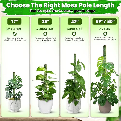 DUSPRO 2 Pack 25" Mesh Moss Pole for Climbing Plants, Pre-Made Moss Pole | Easy To Set Up & Natural Moss Pole Monstera Plant Support, Real Moss Poles for Plants Indoor, Moss Stakes for House Plants