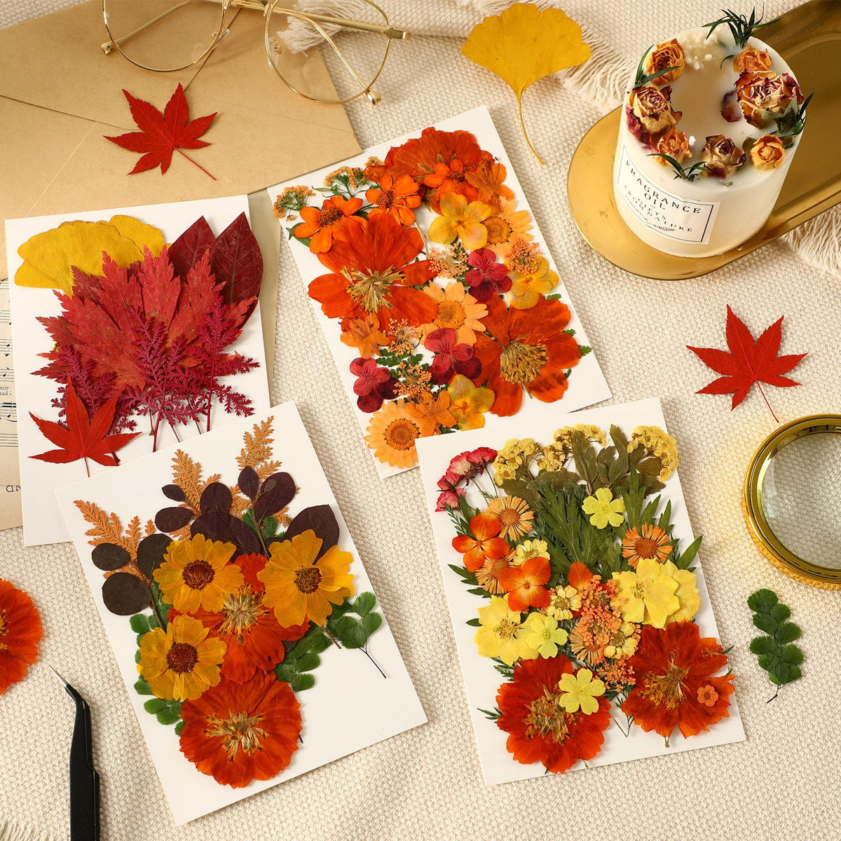 Augshy Fall Dried Pressed Flowers and Leaves for Autumn Crafts Resin DIY | Real Pressed Flowers, Ideal for Scrapbooking Candle Making,Autumn Foliage Colors,100 Pcs Craft Set
