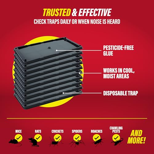 Catchmaster Rat & Mouse Glue Traps 10 Pack, Large Heavy Duty Sticky Traps | Extra Large Glue Trays For Rats, Mice, Snakes & Spiders, Ready To Use Indoor Pest Control For Home, Garage & Basement