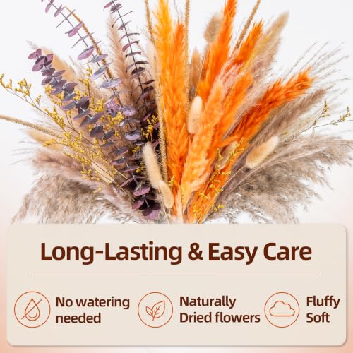 Boho Decor Pampas Grass and Eucalyptus Bouquet | 7Kinds Dried Flowers,pompas grass Dried flowers Arrangement for Centerpiece Table ,Wedding,Home,Room,Rustic Decor