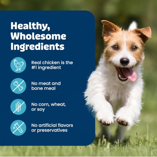 Blue Buffalo Bits Beef Training Treats, 19 oz | Real Beef First, DHA for Cognitive Development, No Chicken By-Product Meals, Free from Red Dye 40