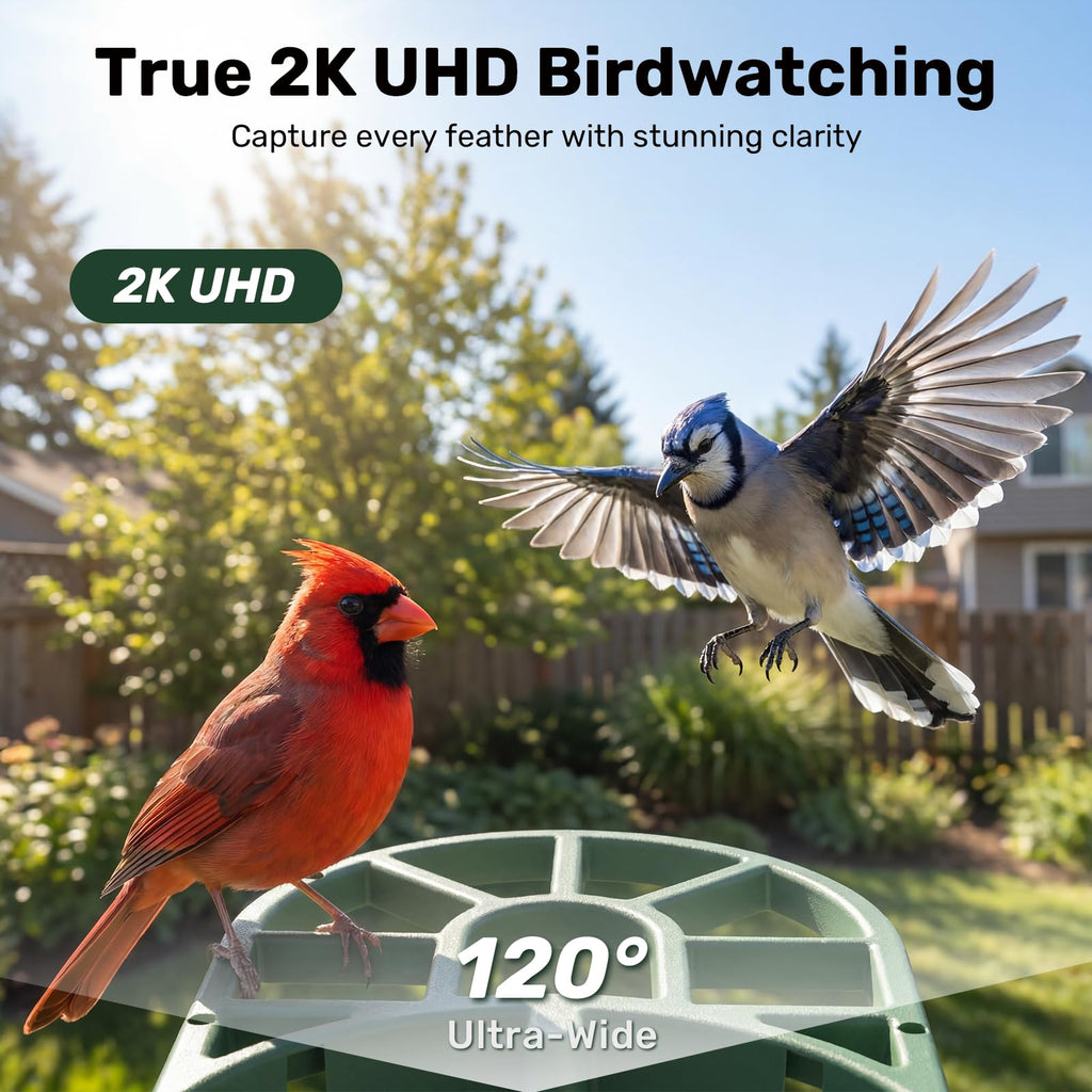 HARYMOR Smart Bird Feeder with Camera Solar Powered, 2K HD Live Video, 10,000+ Bird Species AI Identification, Wild Bird House Feeders for Outdoors, Instant Arrival Alerts, Ideal Gift for Bird Lovers