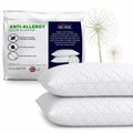 Adam Home Pillows 2 Pack Hotel Quality with Quilted Cover Hypoallergenic & Dust Mite Resistant Filling – Ideal for Stomach, Back and Side Sleepers Down Alternative Hotel Pillows