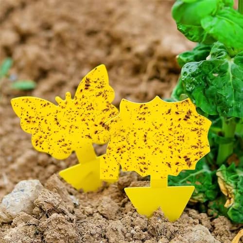 Cleanuper 58 Pack Yellow Sticky Gnat Traps for Plants - Fungus Gnat Killer, Fruit Fly Traps for Indoors, Gnat Sticky Traps for Plants, Family Friendly Design, Sunflower + Butterfly Shapes