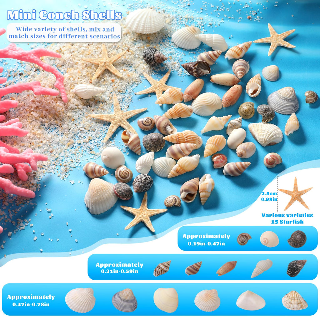 1200 Pcs Tiny Sea Shells, Seashells for Crafts with Small Shells Starfish | Mixed Ocean Beach Spiral Seashells for Beach Party, Fish Tank and Vase Filler, Wedding Decor, DIY Jewelry Candle Making