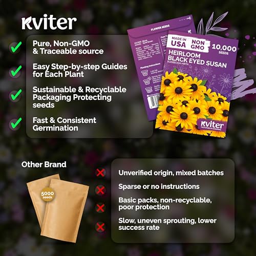 10,000 Black Eyed Susan Heirloom Flower Seeds for Planting, Rudbeckia Hirta | Gloriosa Daisy Wildflower Seeds, Flower Seeds for Planting Outside, Borders, Containers, Attracts Pollinators