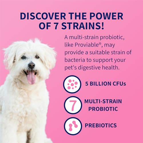 Nutramax Proviable Probiotics for Dogs & Cats, Sprinkle Capsules, 30ct | Probiotics for Cats and Dogs, Plus Prebiotics, Daily Gut Health Support Supplement, Multiple Strains, Sprinkle on Food