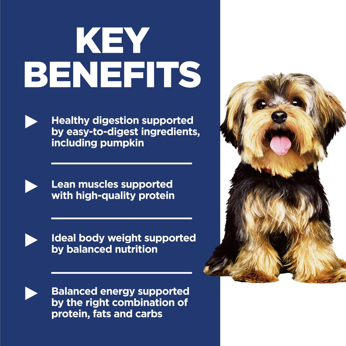 Hill's Science Diet Adult 1-6 Small & Mini Dry Dog Food | #1 Veterinarian Recommended, Chicken & Brown Rice, 4.5 lb. Bag