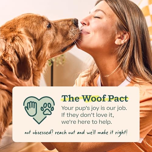 WOOF Pupsicle Peanut Butter & Beef Refill Pops Dog Treats, Large, 7 Count | For large Pupsicles, peanut butter & beef flavor, long-lasting treats, pre-made Pops, wholesome ingredients, shelf stable