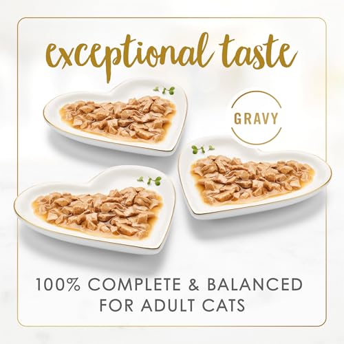Purina Fancy Feast Gravy Lovers Wet Cat Food, 3 oz Cans, 30-Pack | Variety Pack with poultry and beef grilled gourmet recipes, made with no artificial colors or preservatives
