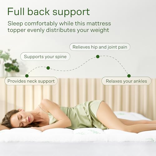Niagara Sleep Solution Queen Ultra Soft Mattress Topper — Back Pain Relief | Rayon Derived from Bamboo, 20" Deep Pocket, Breathable Pillow Top Mattress Pad, Perfect for Hot Sleepers, Green