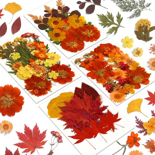 Augshy Fall Dried Pressed Flowers and Leaves for Autumn Crafts Resin DIY | Real Pressed Flowers, Ideal for Scrapbooking Candle Making,Autumn Foliage Colors,100 Pcs Craft Set