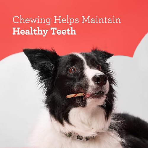 DreamBone Twist Sticks Rawhide-Free Dog Treats With Real Protein, 50 Count | Daily Chew, Digests Safely and Completely, Made With Real Chicken and Veggies, For Adult Dogs