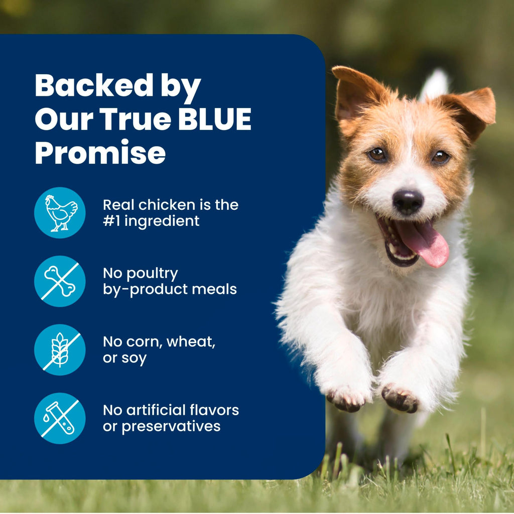 Blue Buffalo Life Protection Formula Chicken Small Breed Dry Dog Food, 5 lb | Real Chicken #1 Ingredient, Antioxidant-Rich LifeSource Bits, Supports Higher Energy Needs, Formulated for Small Breed Dogs
