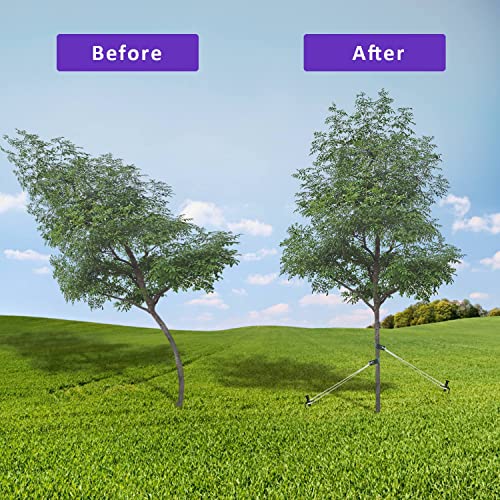 Heavy Duty Steel Tree Stake Kits,Tree Staking and Supports Kits for Young Trees Against Bad Weather, Include 3 PCS Tree Straps for Staking, 3 PCS 11.8 Inch Tree Stakes and 31.2 Feet Rope for Anchoring