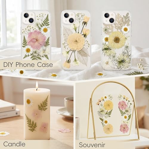LUXEEASE 80P White Pink Dried Pressed Flowers | Ivory white palette, fits any project, blush butter hints, for wedding resin jewelry scrapbook frame decor, tweezers included