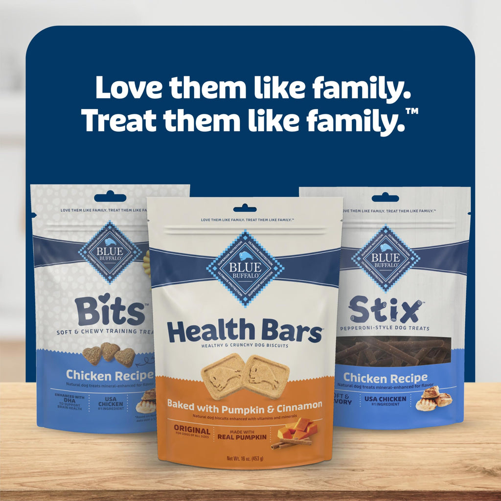 Blue Buffalo Health Bars Pumpkin & Cinnamon Dog Biscuits, 16 oz | Oven-Baked, Crunchy Texture, No Chicken By-Product, Corn, Wheat, or Soy