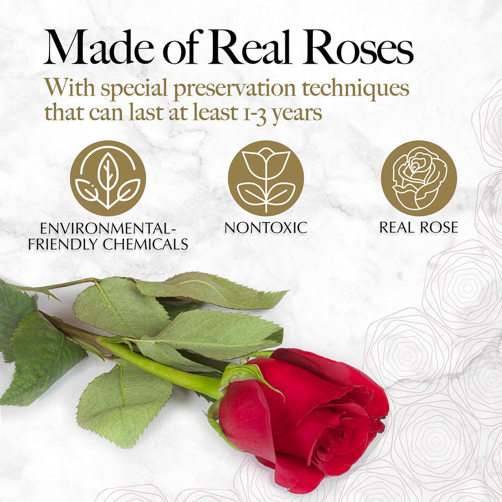 GLAMOUR BOUTIQUE Preserved Flowers, 16 Forever Red Roses in Heart Gift Box | Unique floral present for women, anniversary gifts for her, mom or wife, cute birthday idea, will you be my girlfriend box