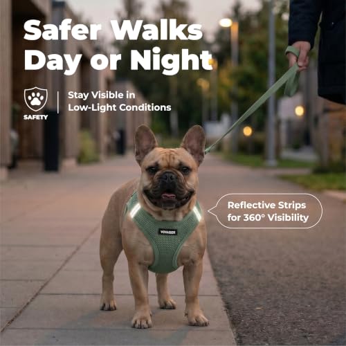 Voyager Step-in Air Dog Vest Harness - Moss Green, Small | 14.5-16" in Chest, Reflective Bands, All Weather Breathable Air Mesh, Cats Compatible, Lightweight, Fast Drying